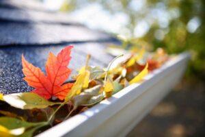 6 Smart Ways to Keep Leaves Out of Your Gutters