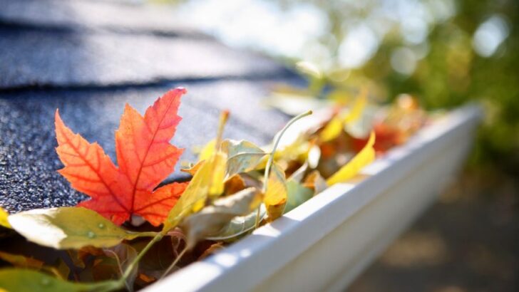 6 clevere Möglichkeiten, Blätter aus Ihren Dachrinnen zu halten