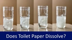 Löst sich Toilettenpapier auf?  Und wie Sie es selbst testen können.
