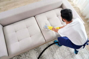 pro furniture cleaning