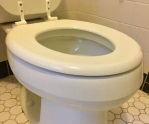 Wie lange halten Toilettensitze und wann sollten Sie Ihre ersetzen?