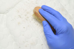 Cleaning mold stains from the mattress.