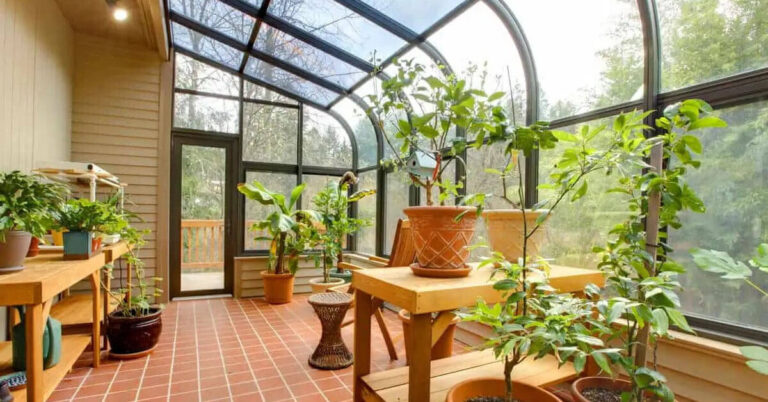 sunroom keep warm in winter for plants